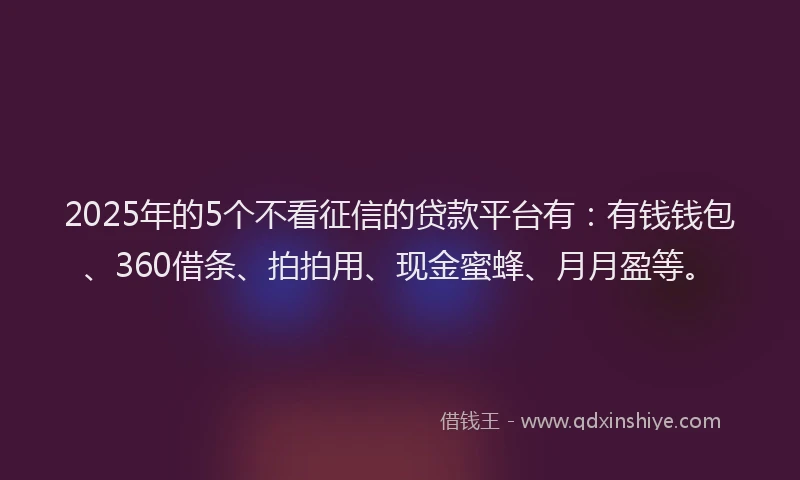 2025年的5个不看征信的贷款平台有：有钱钱包、360借条、拍拍用、现金蜜蜂、月月盈等。