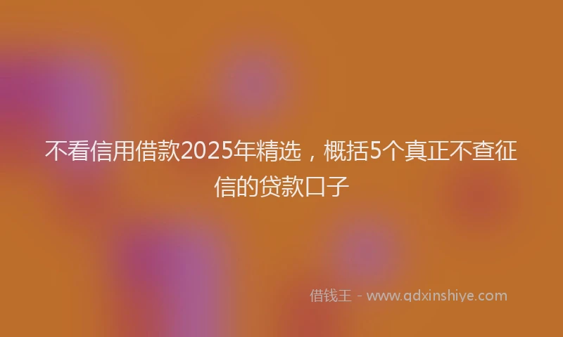 不看信用借款2025年精选，概括5个真正不查征信的贷款口子