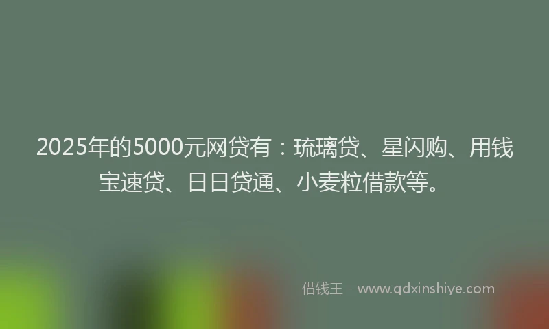 2025年的5000元网贷有：琉璃贷、星闪购、用钱宝速贷、日日贷通、小麦粒借款等。