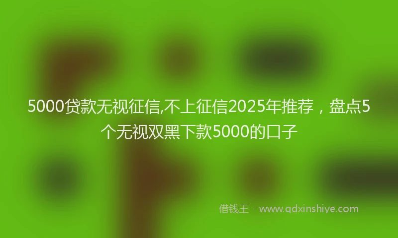 5000贷款无视征信,不上征信2025年推荐，盘点5个无视双黑下款5000的口子