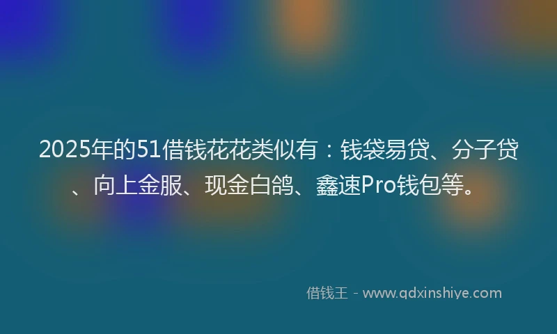 2025年的51借钱花花类似有：钱袋易贷、分子贷、向上金服、现金白鸽、鑫速Pro钱包等。