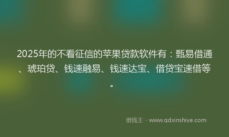2025年的不看征信的苹果贷款软件有：甄易借通、琥珀贷、钱速融易、钱速达宝、借贷宝速借等。