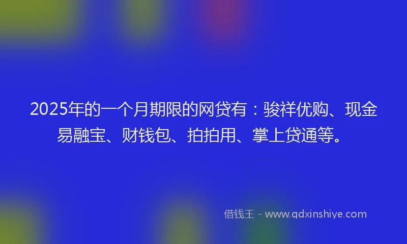2025年的一个月期限的网贷有：骏祥优购、现金易融宝、财钱包、拍拍用、掌上贷通等。