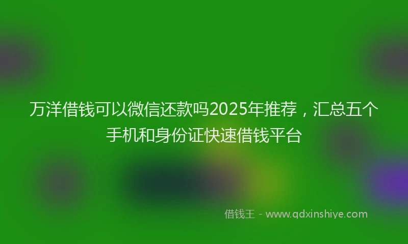 万洋借钱可以微信还款吗2025年推荐，汇总五个手机和身份证快速借钱平台