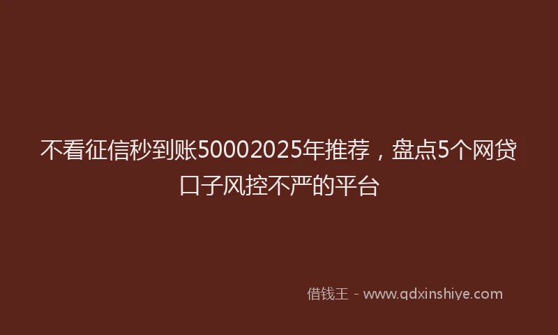 不看征信秒到账50002025年推荐，盘点5个网贷口子风控不严的平台
