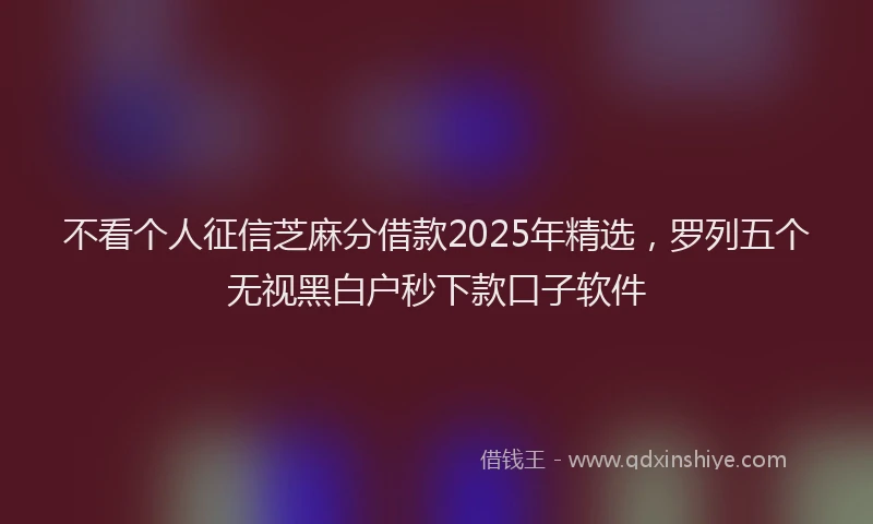 不看个人征信芝麻分借款2025年精选，罗列五个无视黑白户秒下款口子软件