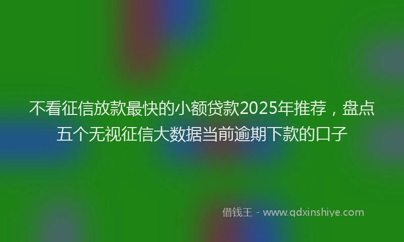 不看征信放款最快的小额贷款2025年推荐，盘点五个无视征信大数据当前逾期下款的口子