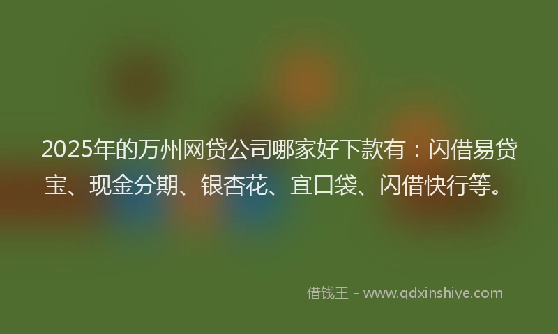 2025年的万州网贷公司哪家好下款有：闪借易贷宝、现金分期、银杏花、宜口袋、闪借快行等。