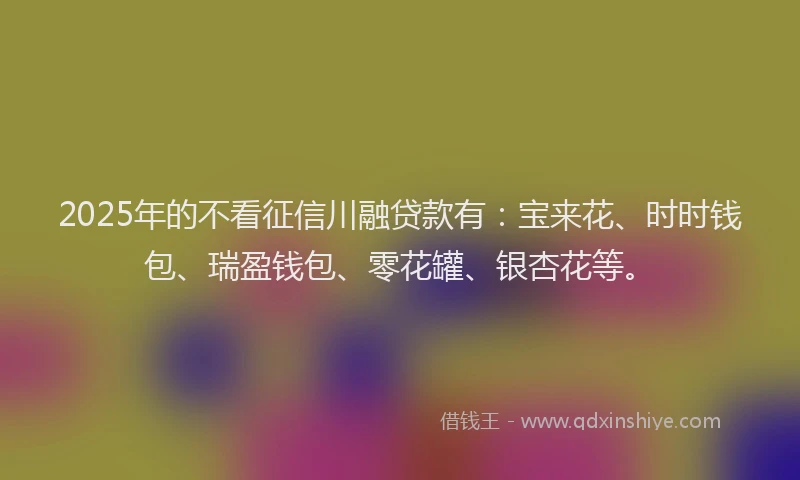 2025年的不看征信川融贷款有：宝来花、时时钱包、瑞盈钱包、零花罐、银杏花等。