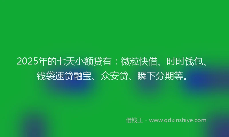 2025年的七天小额贷有：微粒快借、时时钱包、钱袋速贷融宝、众安贷、瞬下分期等。