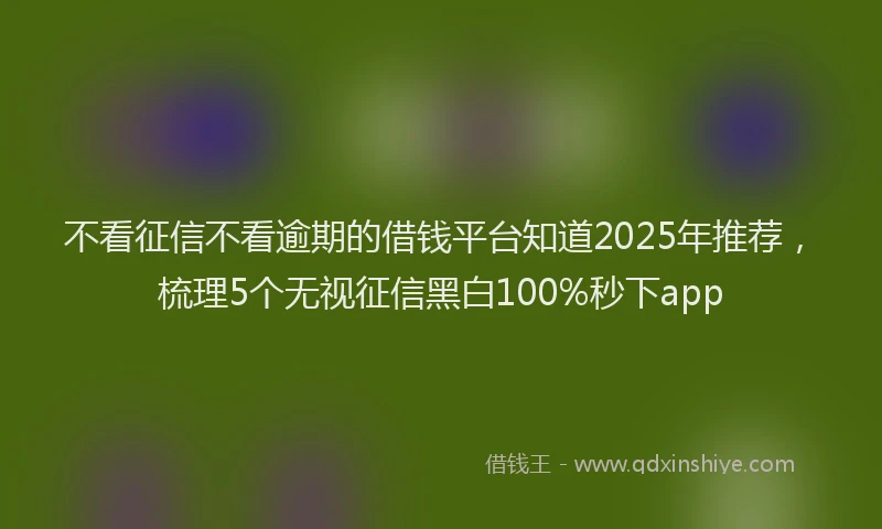 不看征信不看逾期的借钱平台知道2025年推荐，梳理5个无视征信黑白100%秒下app