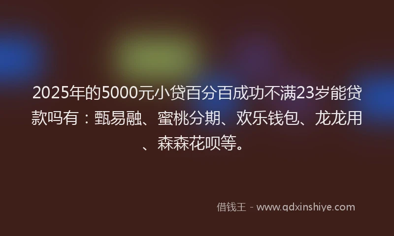 2025年的5000元小贷百分百成功不满23岁能贷款吗有：甄易融、蜜桃分期、欢乐钱包、龙龙用、森森花呗等。