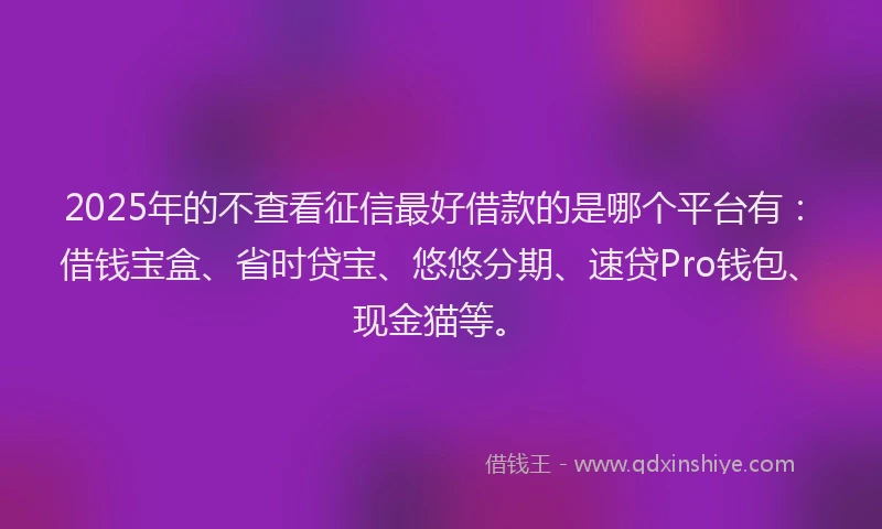 2025年的不查看征信最好借款的是哪个平台有：借钱宝盒、省时贷宝、悠悠分期、速贷Pro钱包、现金猫等。