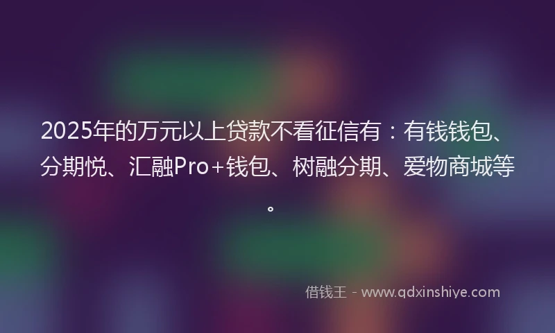 2025年的万元以上贷款不看征信有：有钱钱包、分期悦、汇融Pro+钱包、树融分期、爱物商城等。