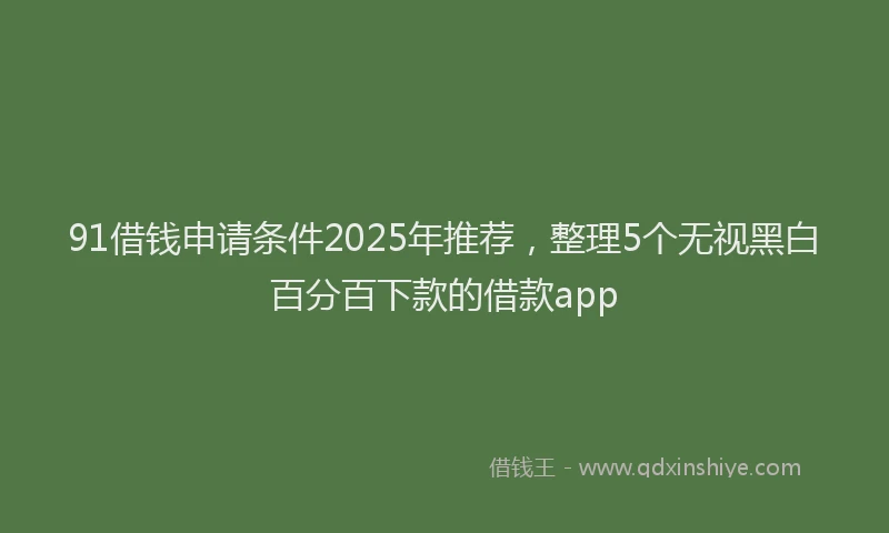 91借钱申请条件2025年推荐，整理5个无视黑白百分百下款的借款app