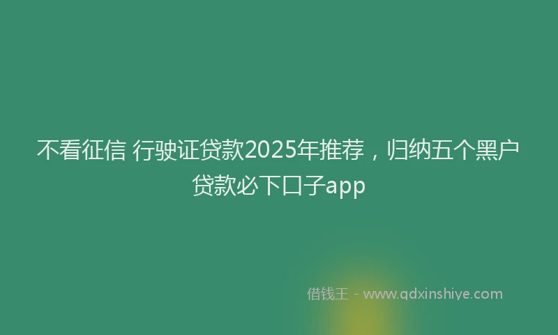 不看征信 行驶证贷款2025年推荐，归纳五个黑户贷款必下口子app