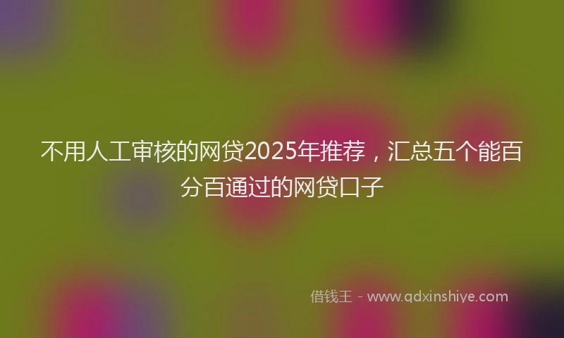 不用人工审核的网贷2025年推荐，汇总五个能百分百通过的网贷口子