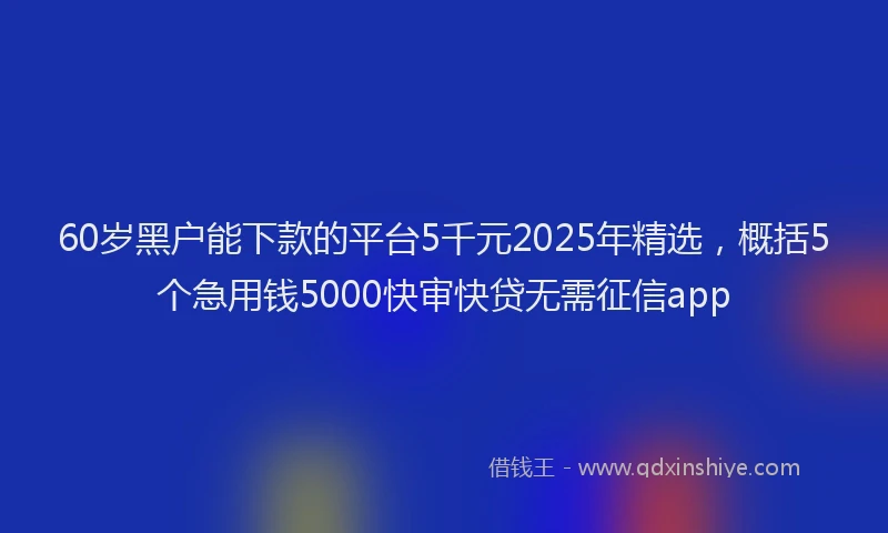 60岁黑户能下款的平台5千元2025年精选，概括5个急用钱5000快审快贷无需征信app