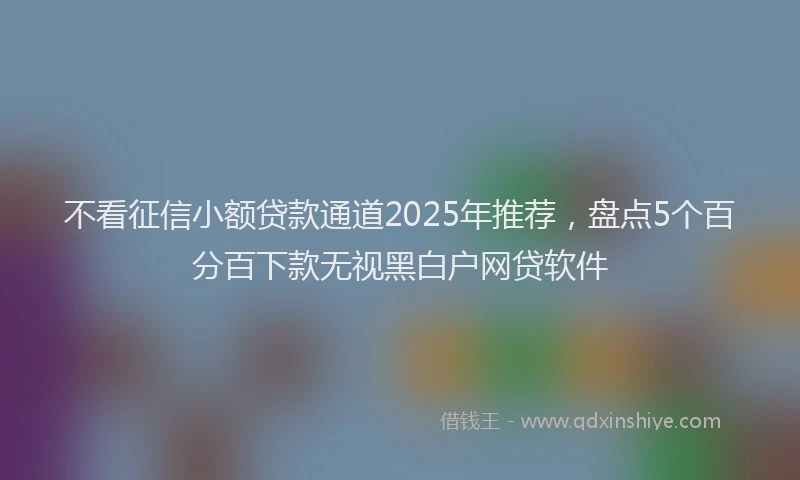 不看征信小额贷款通道2025年推荐，盘点5个百分百下款无视黑白户网贷软件