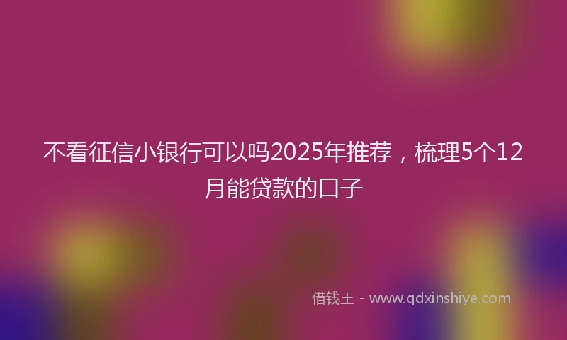 不看征信小银行可以吗2025年推荐，梳理5个12月能贷款的口子