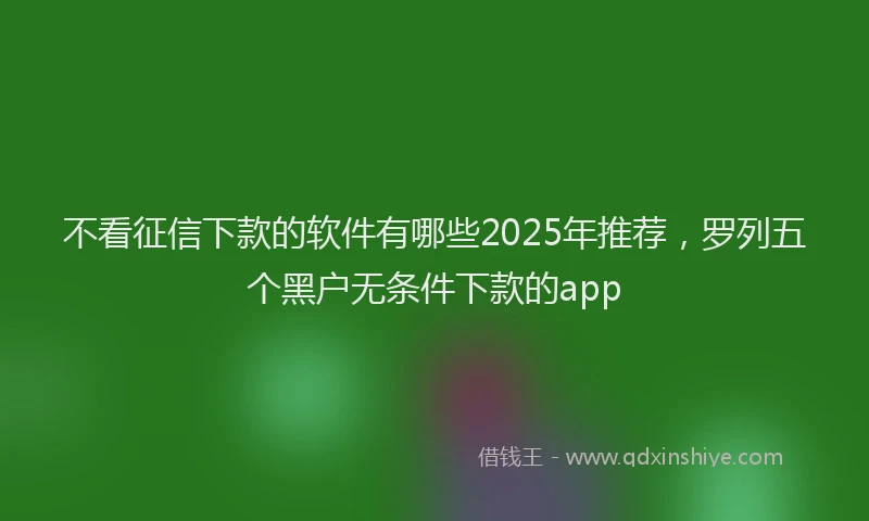 不看征信下款的软件有哪些2025年推荐，罗列五个黑户无条件下款的app
