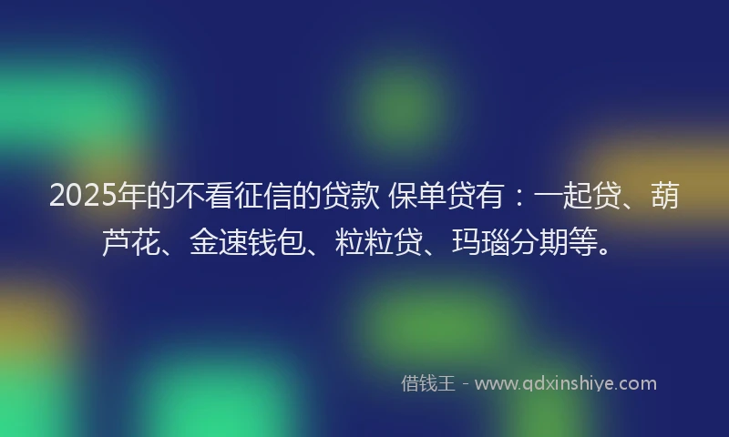 2025年的不看征信的贷款 保单贷有：一起贷、葫芦花、金速钱包、粒粒贷、玛瑙分期等。