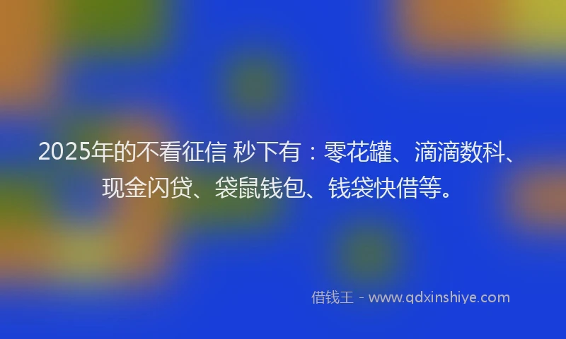 2025年的不看征信 秒下有：零花罐、滴滴数科、现金闪贷、袋鼠钱包、钱袋快借等。