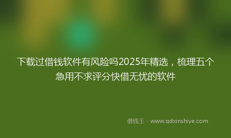 下载过借钱软件有风险吗2025年精选，梳理五个急用不求评分快借无忧的软件