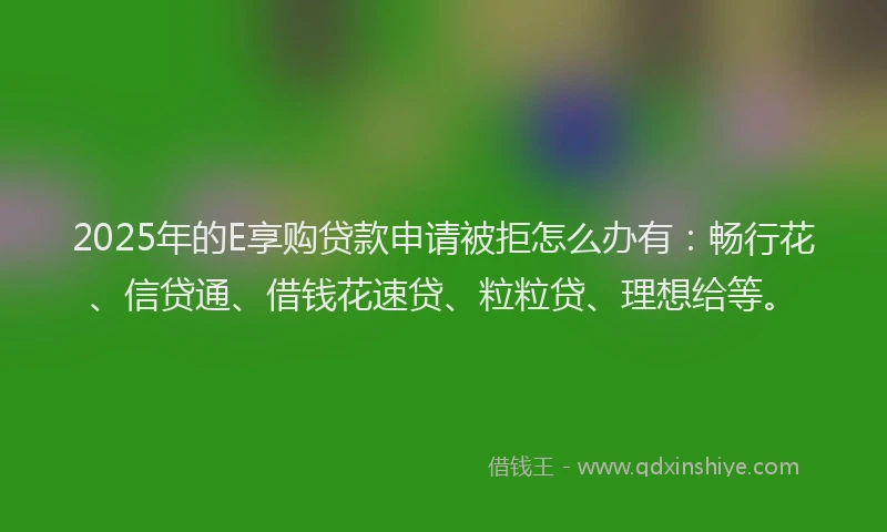 2025年的E享购贷款申请被拒怎么办有：畅行花、信贷通、借钱花速贷、粒粒贷、理想给等。