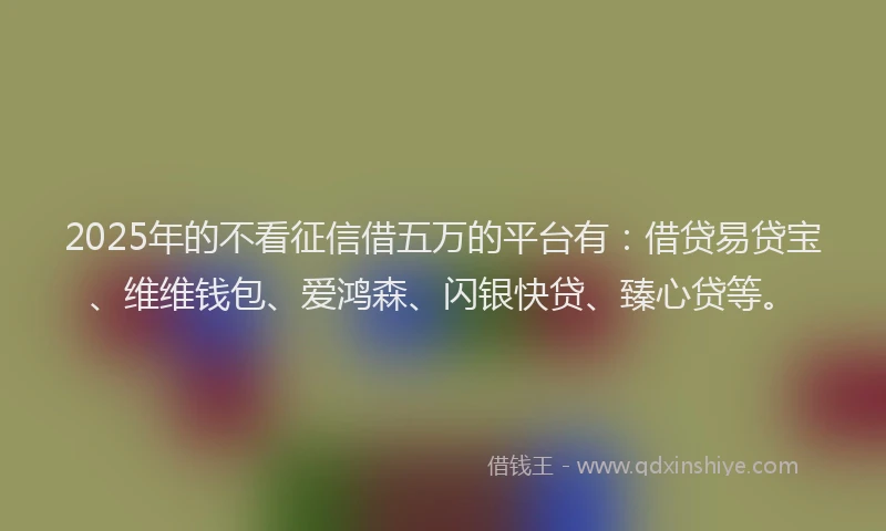 2025年的不看征信借五万的平台有：借贷易贷宝、维维钱包、爱鸿森、闪银快贷、臻心贷等。