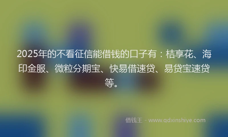 2025年的不看征信能借钱的口子有：桔享花、海印金服、微粒分期宝、快易借速贷、易贷宝速贷等。