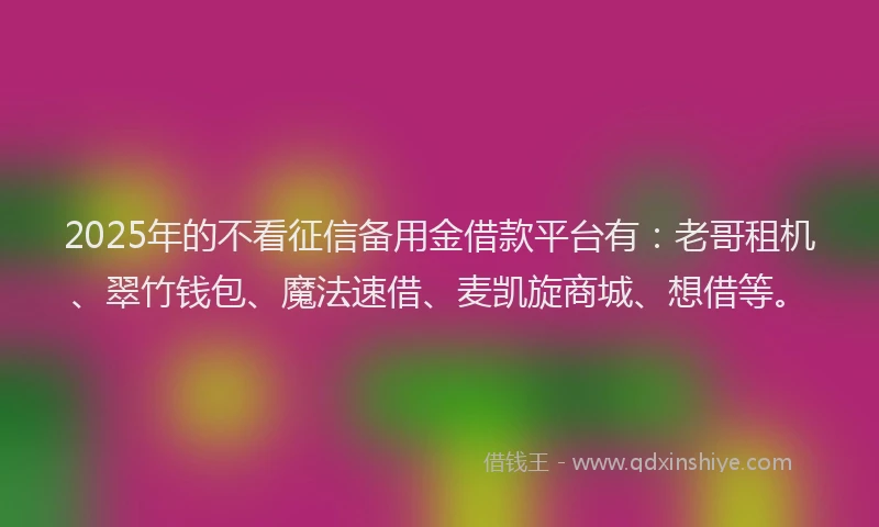 2025年的不看征信备用金借款平台有：老哥租机、翠竹钱包、魔法速借、麦凯旋商城、想借等。