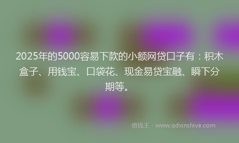 2025年的5000容易下款的小额网贷口子有：积木盒子、用钱宝、口袋花、现金易贷宝融、瞬下分期等。