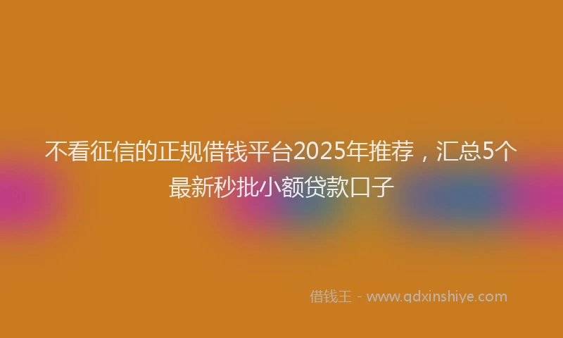 不看征信的正规借钱平台2025年推荐，汇总5个最新秒批小额贷款口子