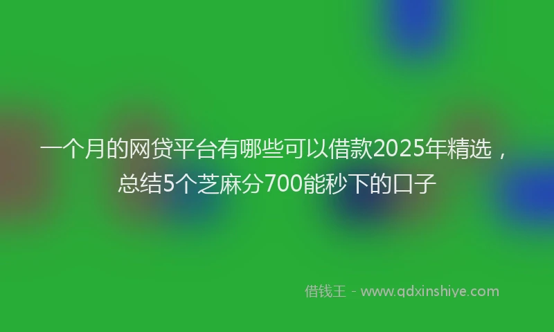 一个月的网贷平台有哪些可以借款2025年精选，总结5个芝麻分700能秒下的口子