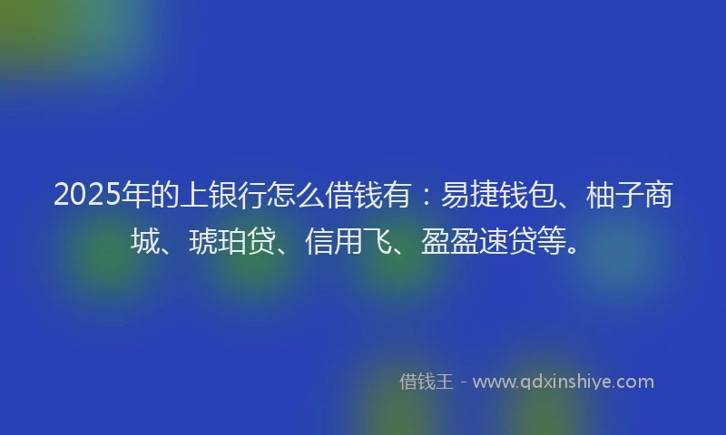 2025年的上银行怎么借钱有：易捷钱包、柚子商城、琥珀贷、信用飞、盈盈速贷等。