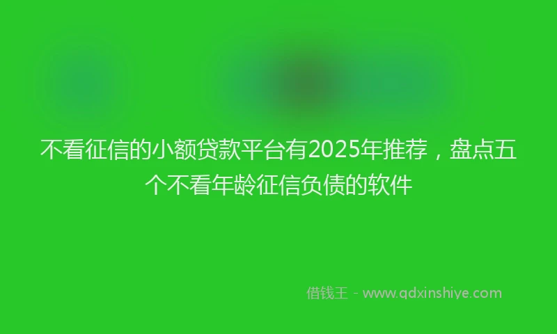 不看征信的小额贷款平台有2025年推荐，盘点五个不看年龄征信负债的软件