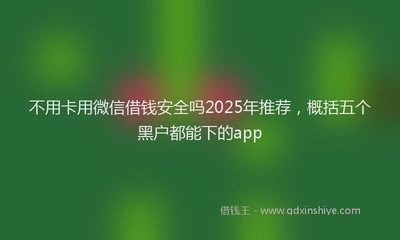 不用卡用微信借钱安全吗2025年推荐，概括五个黑户都能下的app