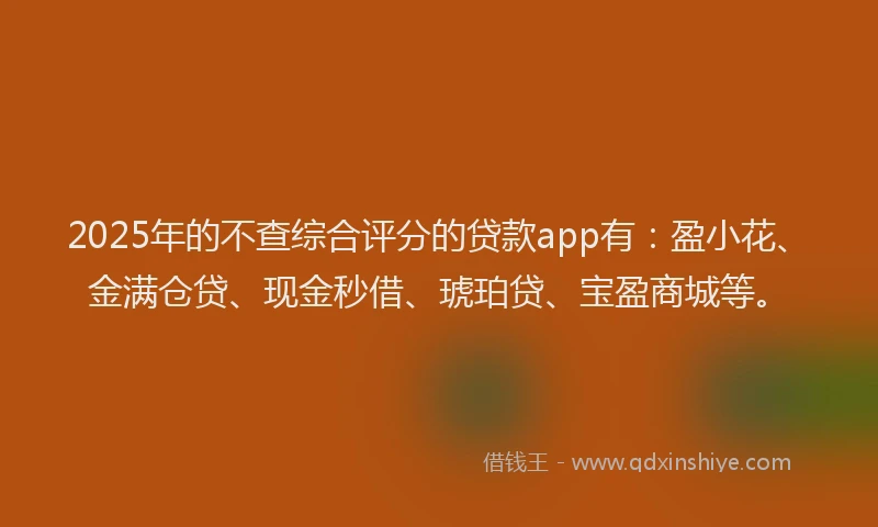 2025年的不查综合评分的贷款app有：盈小花、金满仓贷、现金秒借、琥珀贷、宝盈商城等。