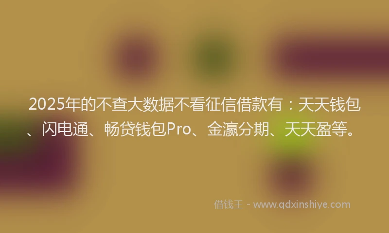 2025年的不查大数据不看征信借款有：天天钱包、闪电通、畅贷钱包Pro、金瀛分期、天天盈等。