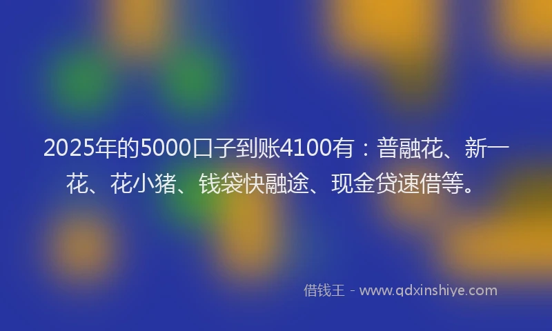 2025年的5000口子到账4100有：普融花、新一花、花小猪、钱袋快融途、现金贷速借等。