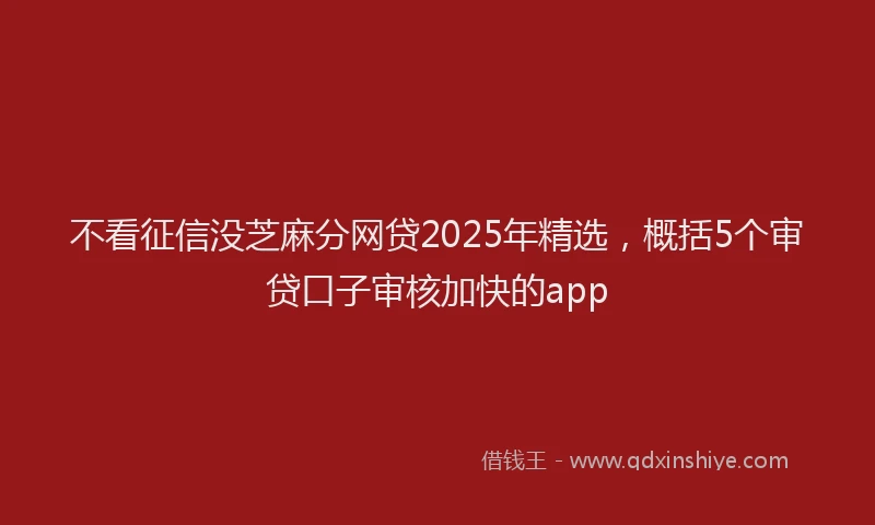 不看征信没芝麻分网贷2025年精选，概括5个审贷口子审核加快的app