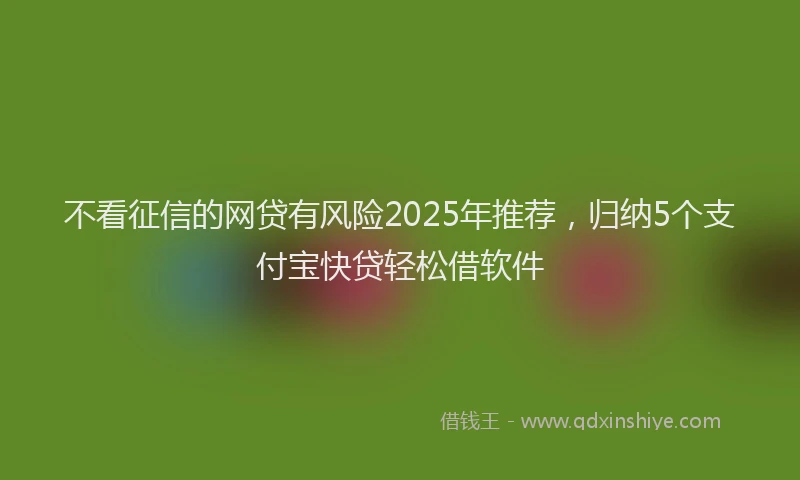 不看征信的网贷有风险2025年推荐，归纳5个支付宝快贷轻松借软件