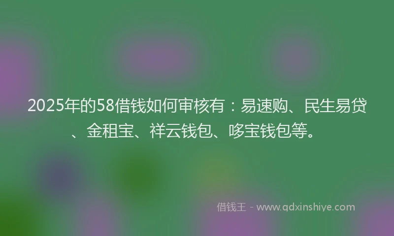 2025年的58借钱如何审核有：易速购、民生易贷、金租宝、祥云钱包、哆宝钱包等。