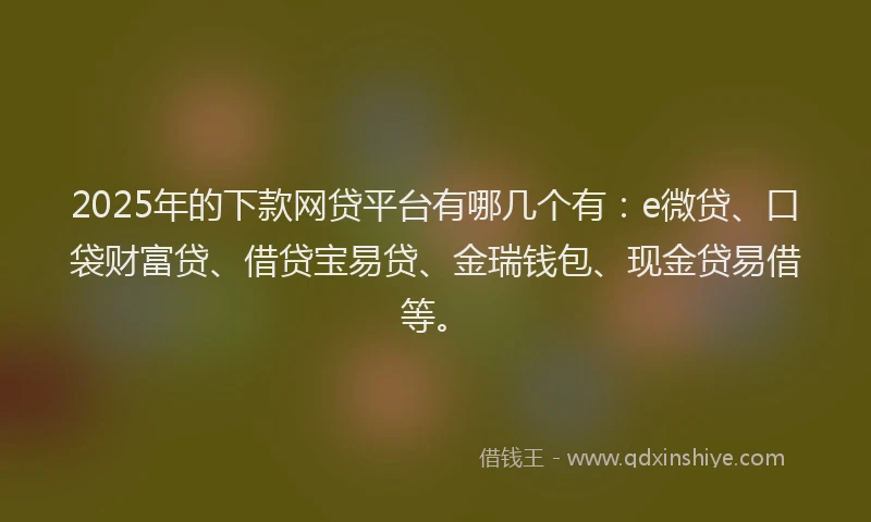 2025年的下款网贷平台有哪几个有：e微贷、口袋财富贷、借贷宝易贷、金瑞钱包、现金贷易借等。