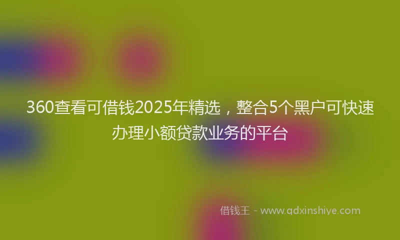360查看可借钱2025年精选，整合5个黑户可快速办理小额贷款业务的平台