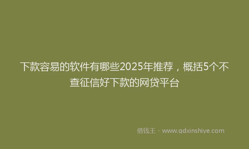 下款容易的软件有哪些2025年推荐，概括5个不查征信好下款的网贷平台