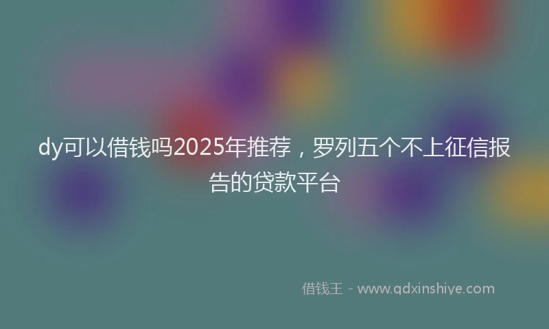 dy可以借钱吗2025年推荐，罗列五个不上征信报告的贷款平台