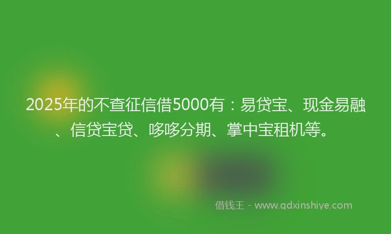 2025年的不查征信借5000有：易贷宝、现金易融、信贷宝贷、哆哆分期、掌中宝租机等。