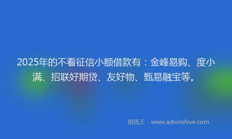 2025年的不看征信小额借款有：金峰易购、度小满、招联好期贷、友好物、甄易融宝等。